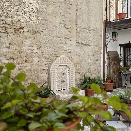 Jerez Siglo Xix Apartamento Jerez de la Frontera