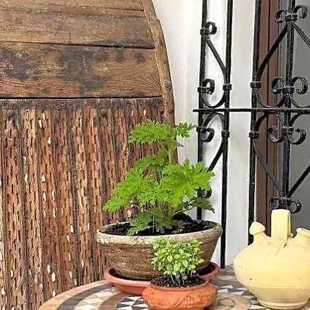 Jerez Siglo Xix 아파트